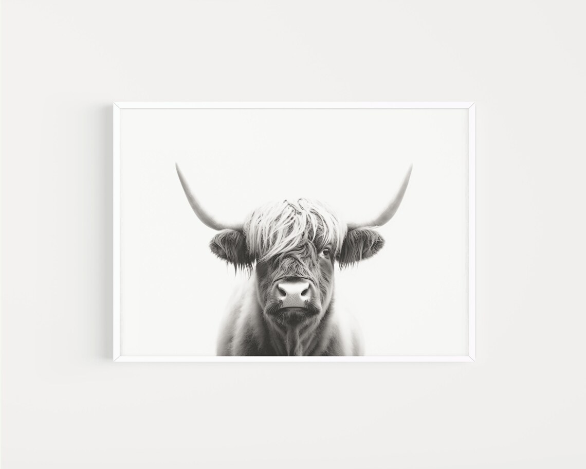 Highland Cow Art Print, Black and White Portrait - Image 3