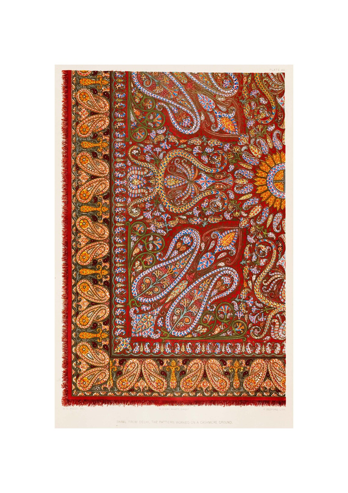 Shawl Print, Vintage Lithography From 1853