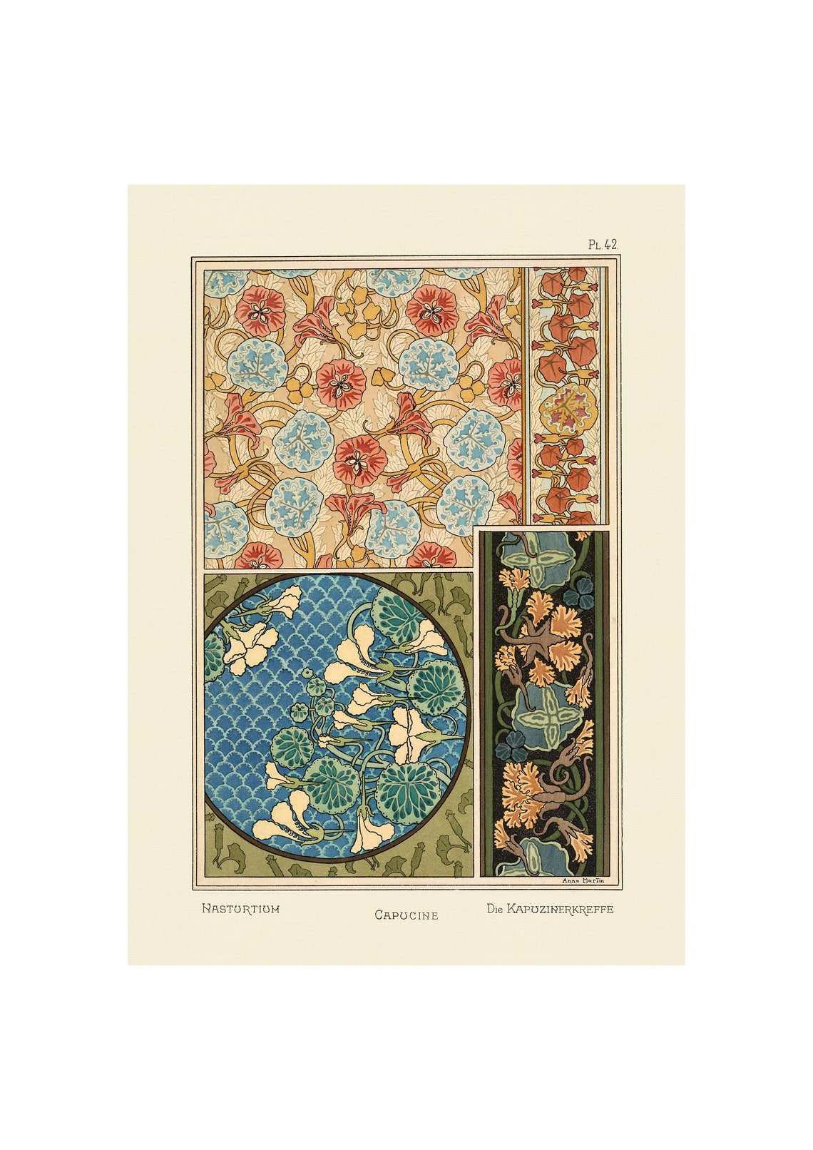 1896 Art Nouveau Nastortium Floral Pattern Ornament Plate Poster