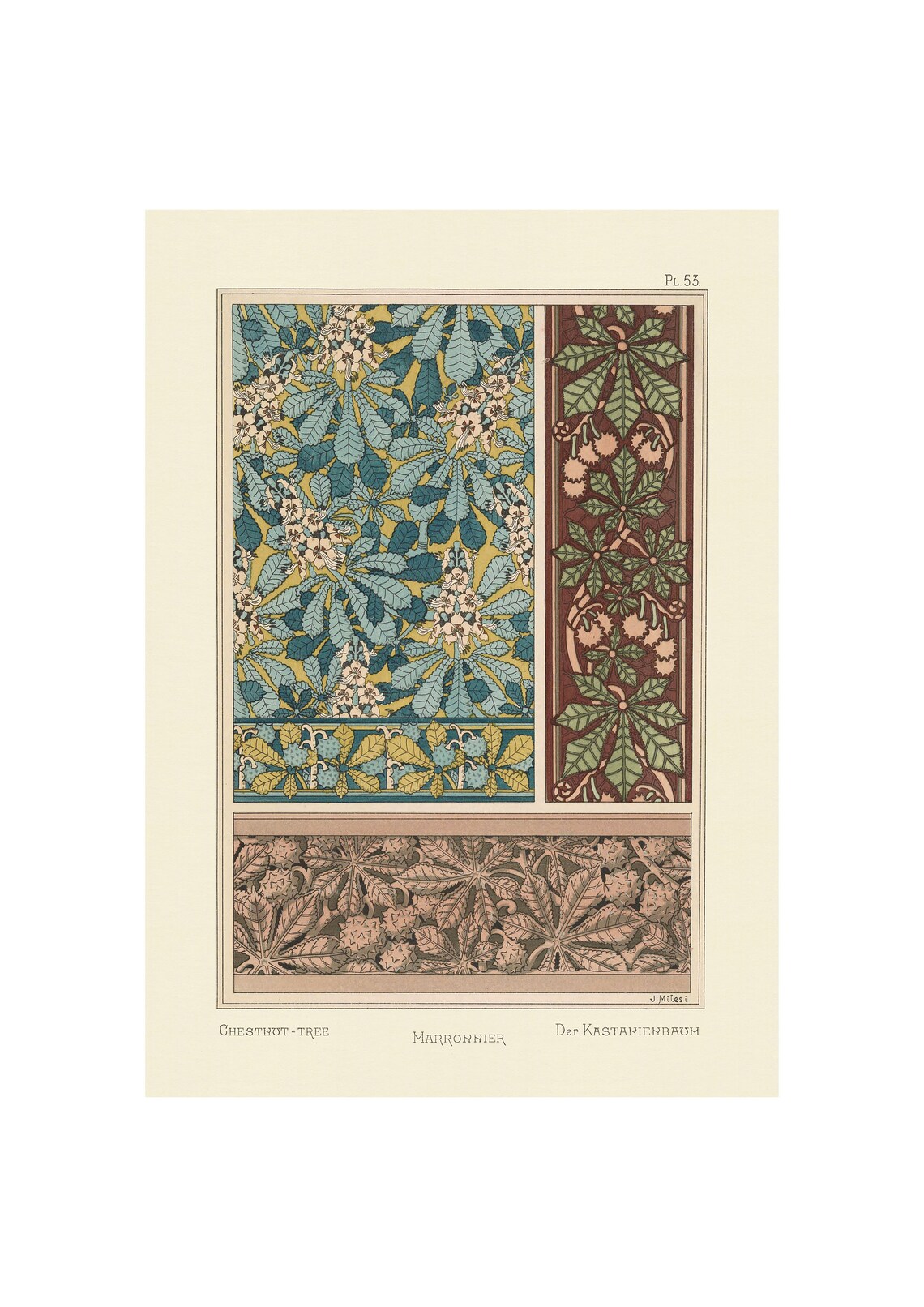 Plants And Their Application To Ornament Chestnut Tree