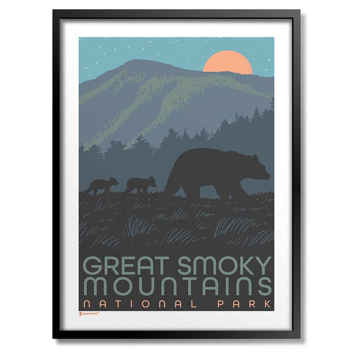 Great Smoky National Park Cades Cove Art Print