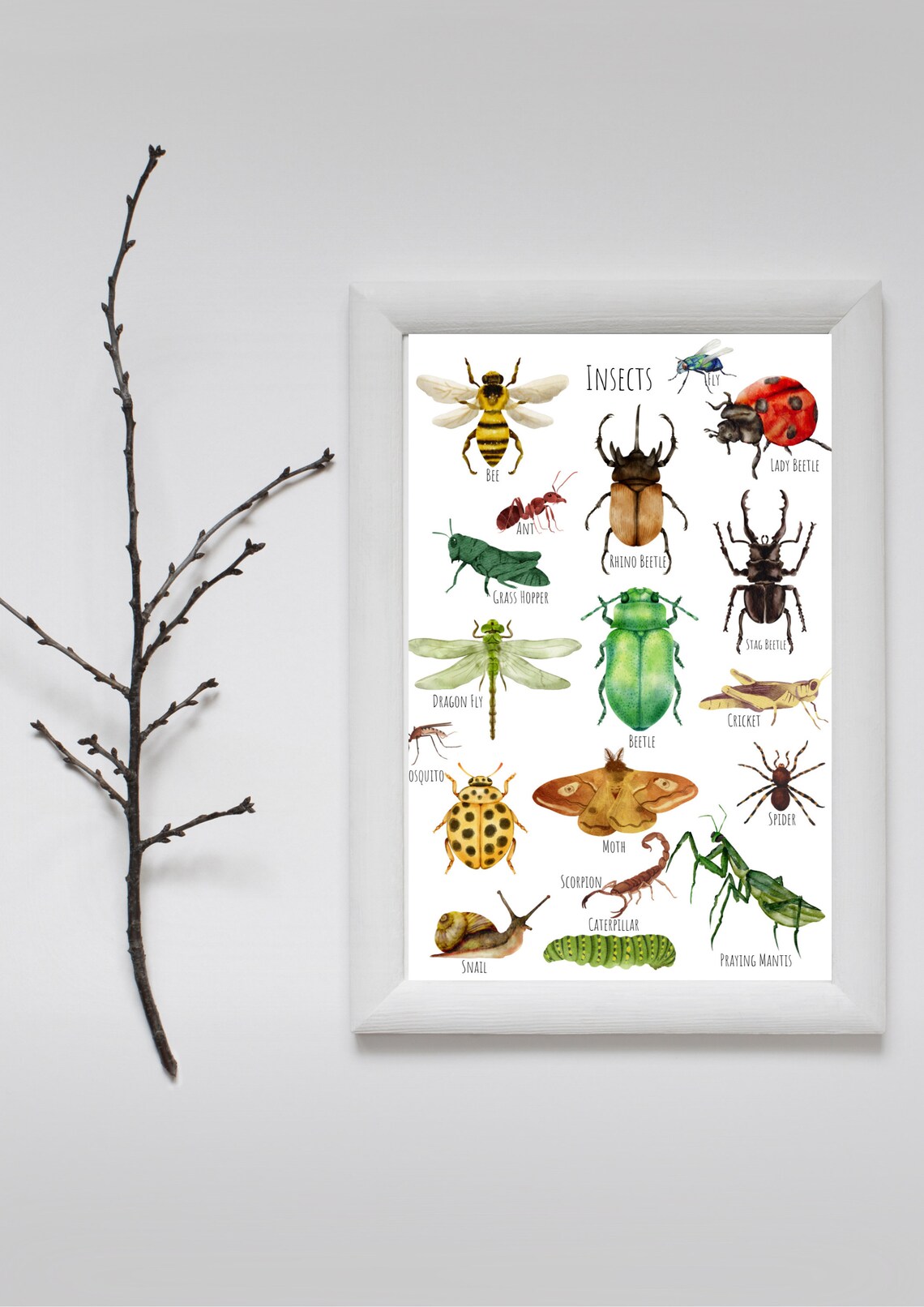 Insects Bugs Art Print, Unique Insect Study - Image 6