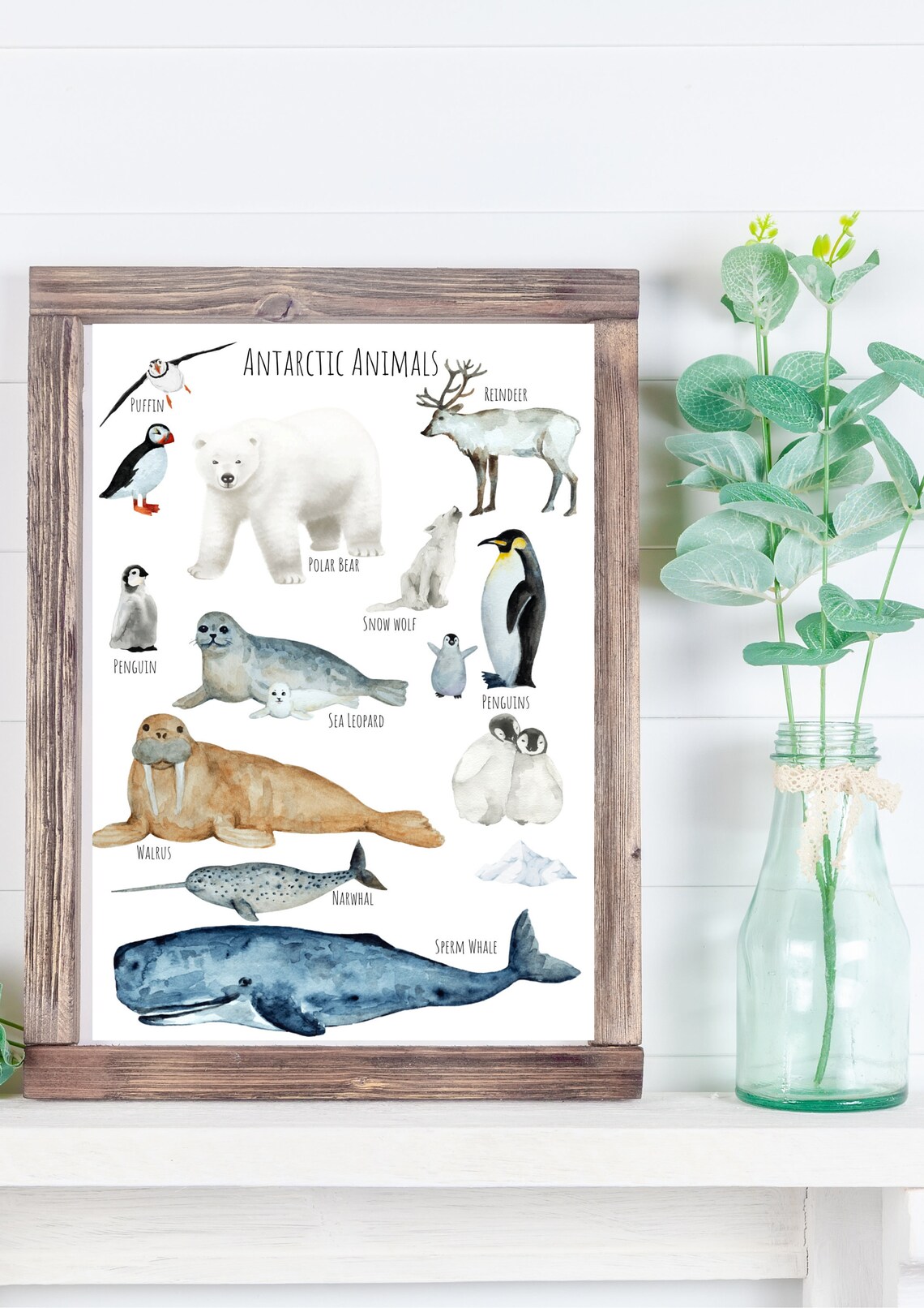 Antarctic Animals Travel Poster, Wildlife Study - Image 6