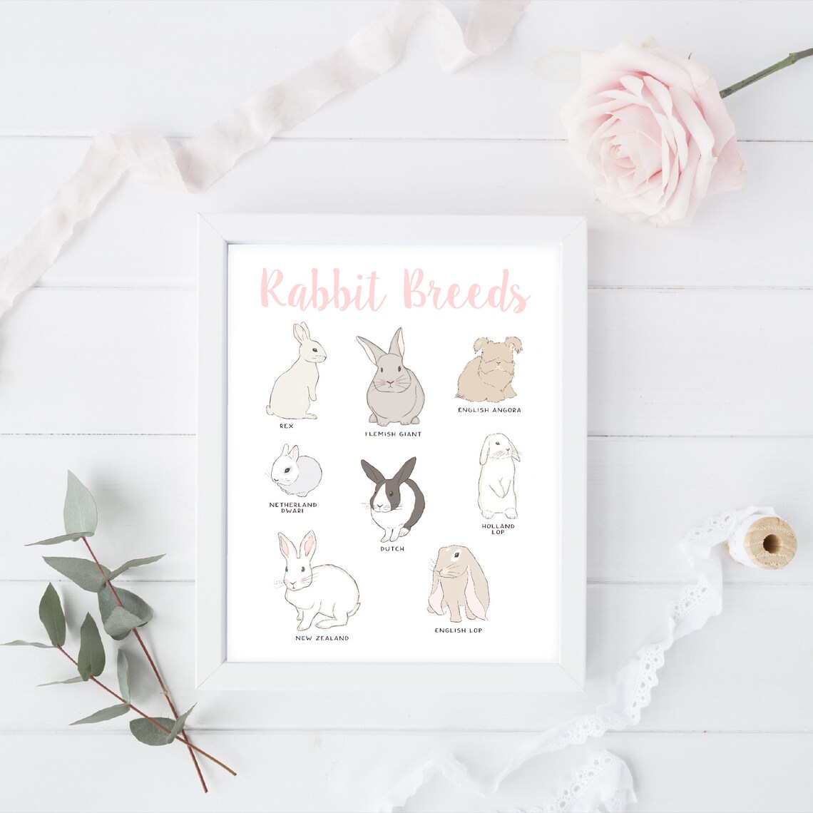 Types Of Rabbits Chart, Easter Rabbit Lovers Gift - Image 2