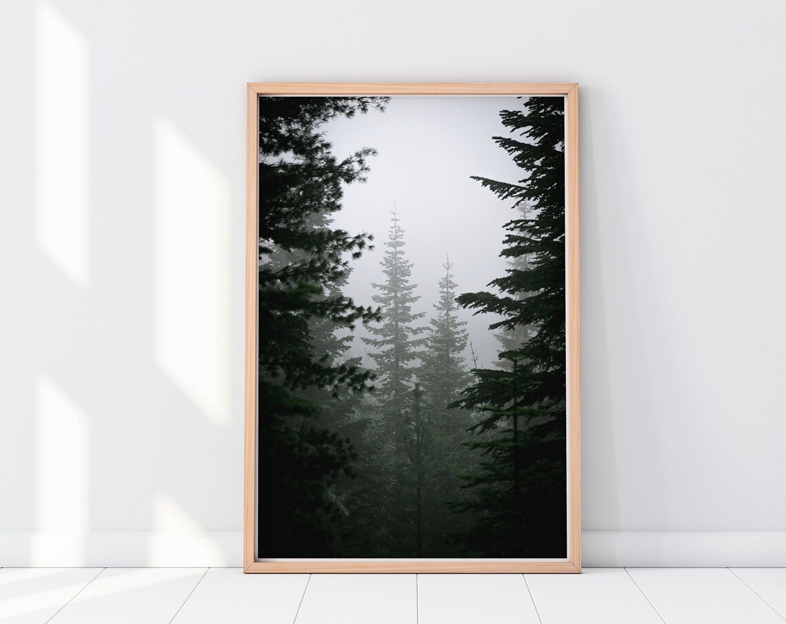 Dark Forest Pine Trees Misty Landscape Art Print