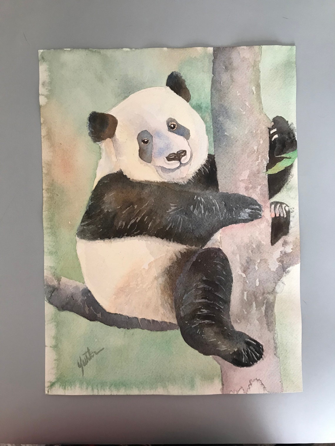 Giant Panda Climbing a Tree Watercolor Wildlife Portrait Poster