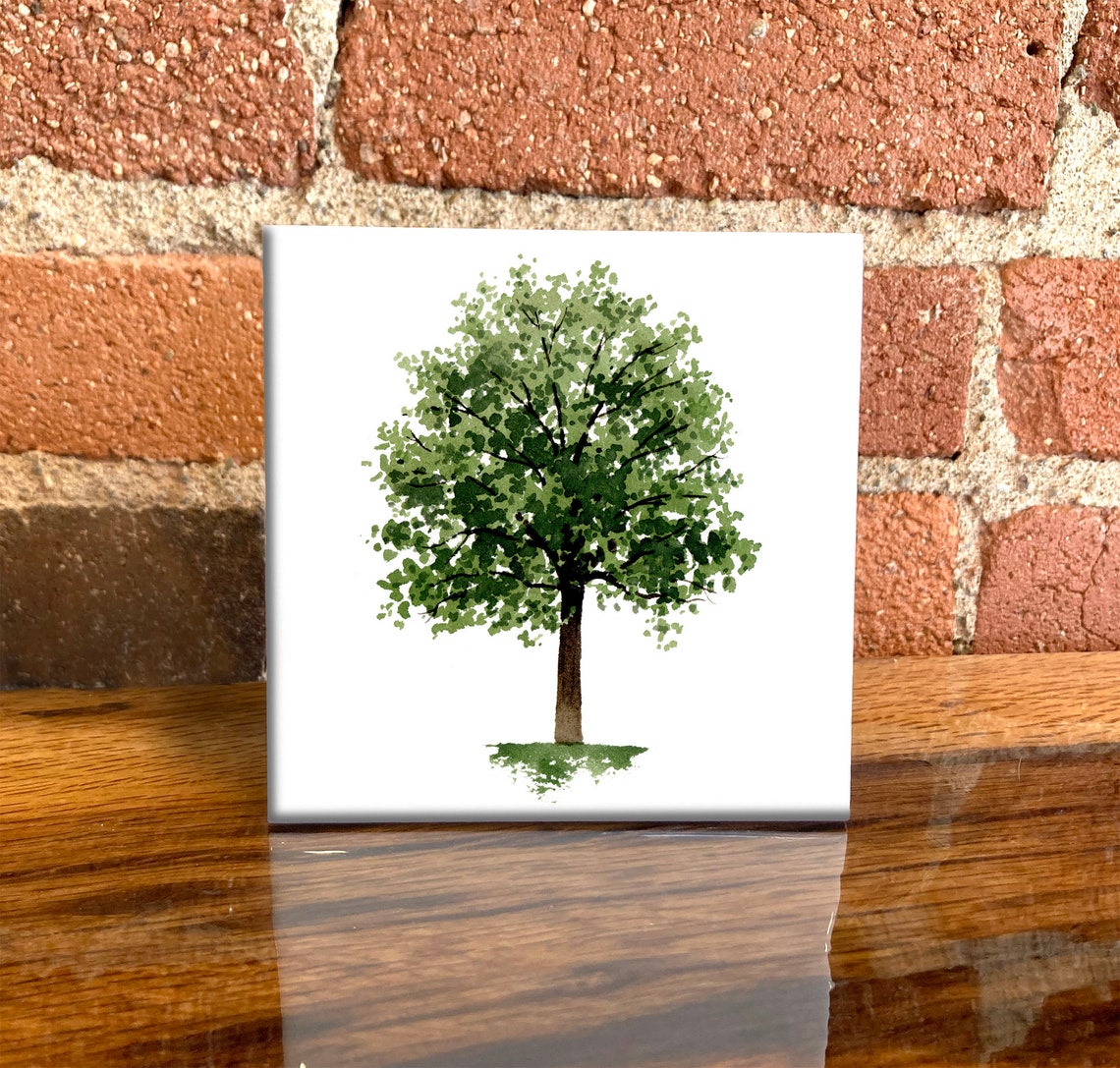 Lush Maple Tree With Full Green Canopy Watercolor Summer Tile Poster