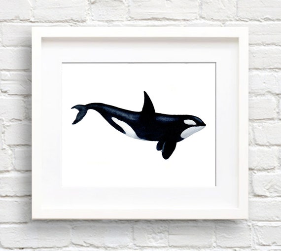 Orca Watercolor Art Print, Nursery Wall Decor