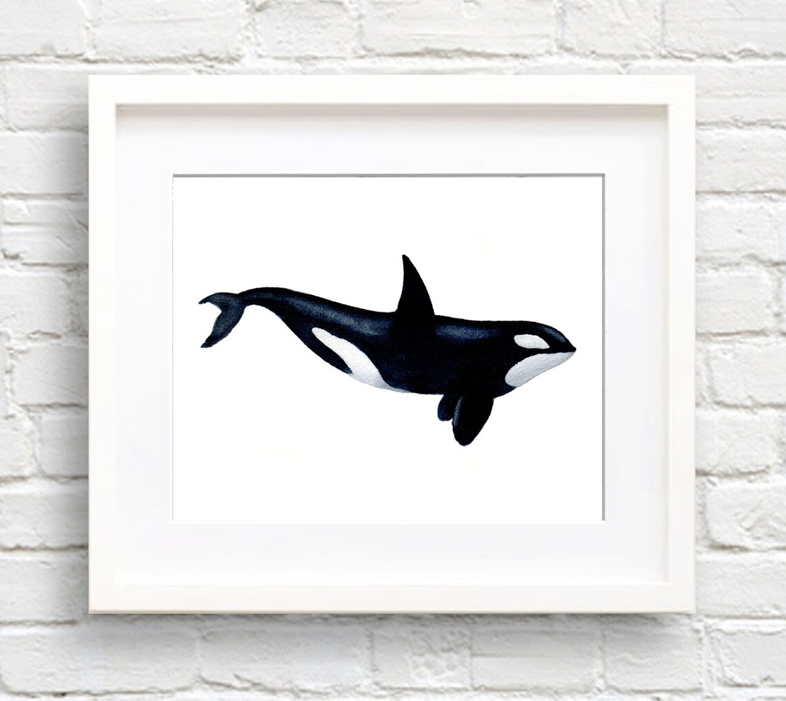 Orca Watercolor Art Print, Nursery Wall Decor
