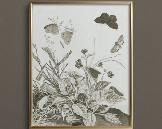 Butterfly Sketch Butterfly Art Neutral Wall Art Vintage Butterfly Art Prints Cottagecore Wall Art Da35