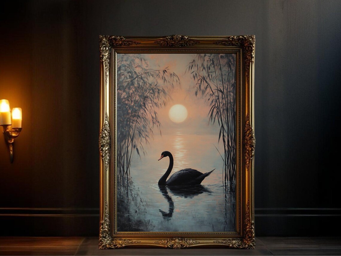 Black Swan Sunset, Serene Lake Scene Art Print