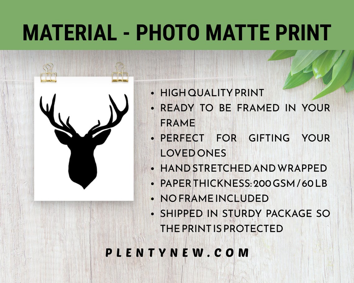 Matte Photo Material and Quality Details Reference Card Poster