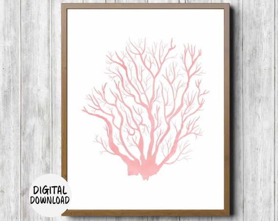 Sea Coral Girls Room Nursery Wall Art Blush Pink Wall Decor Beach Theme Office Wall Art Nautical Poster