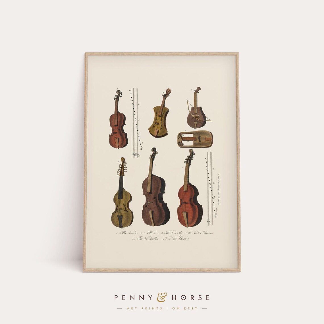 Vintage Stringed Instruments Violin Chart Antique Music Illustration Poster - Image 4