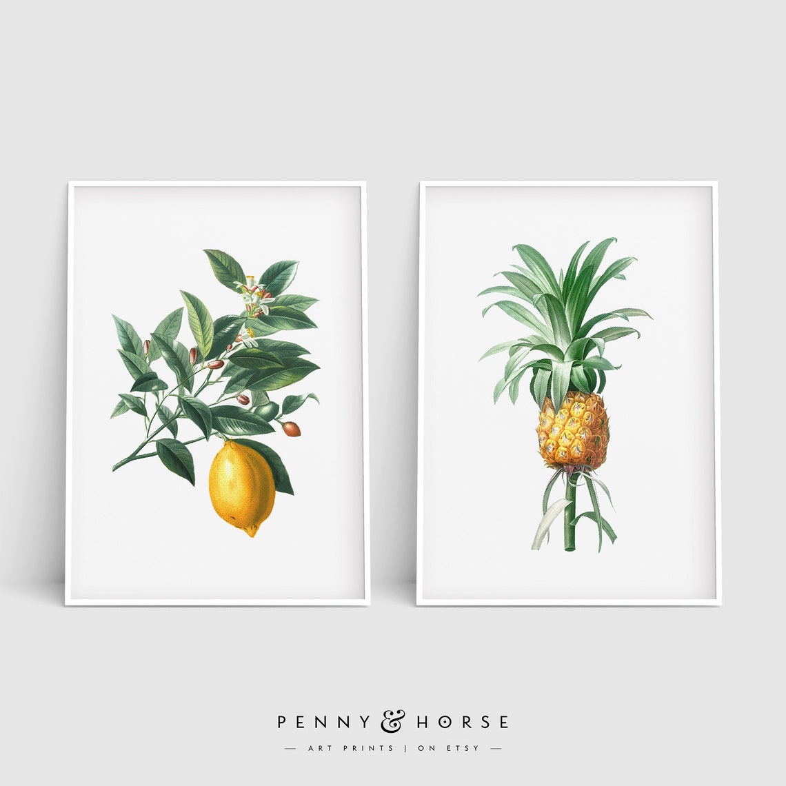 Vintage Botanical Lemon Branch and Pineapple Fruit Pair Poster - Image 4