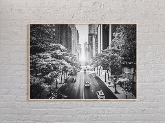 Black And White New York City Tree Lined Street Cityscape Poster