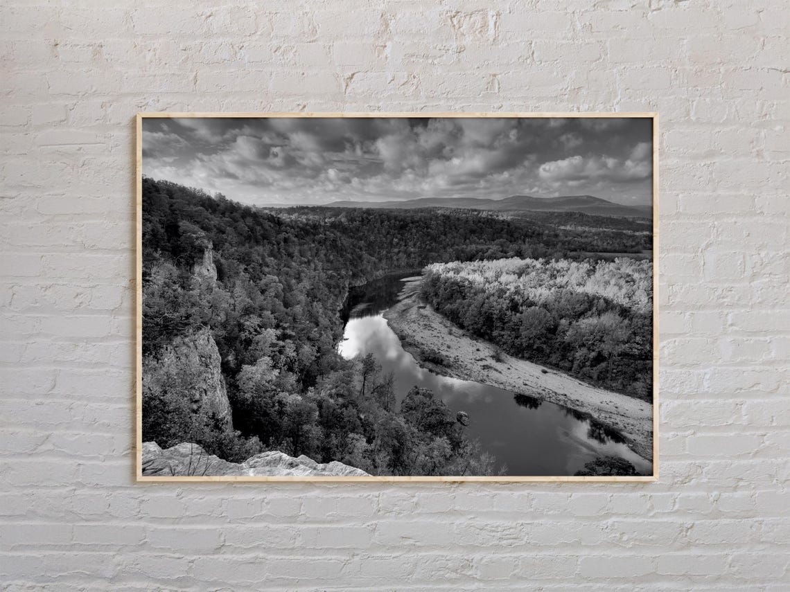 Black And White Arkansas River Valley Forest Landscape Photo Poster