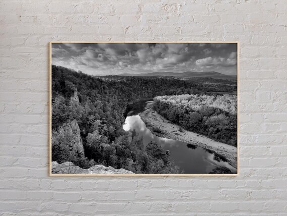 Black And White Arkansas River Valley Forest Landscape Photo Poster
