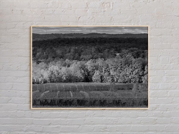 Traverse City Rolling Vineyard Hills Black and White Wine Country Poster
