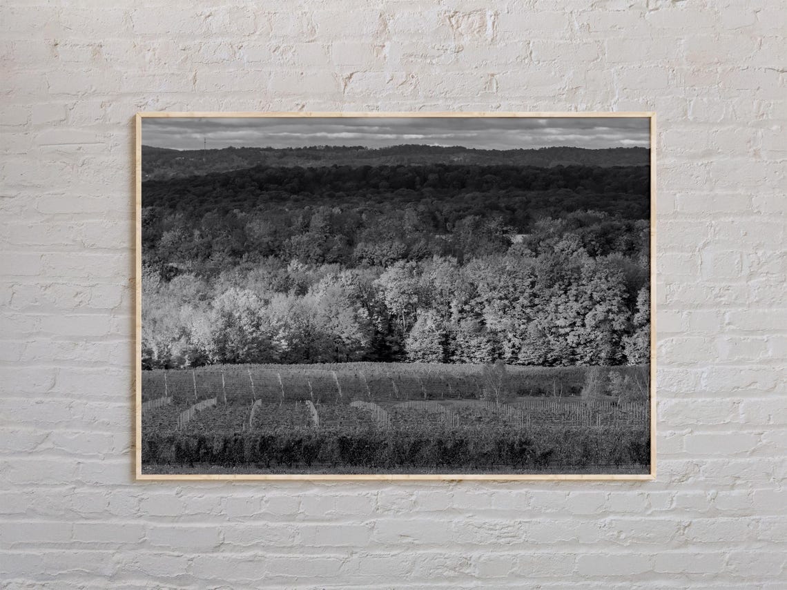 Black And White Traverse City Print Traverse City Wall Art Traverse City Poster Traverse City Photo Michigan Wall Decor Usa Poster