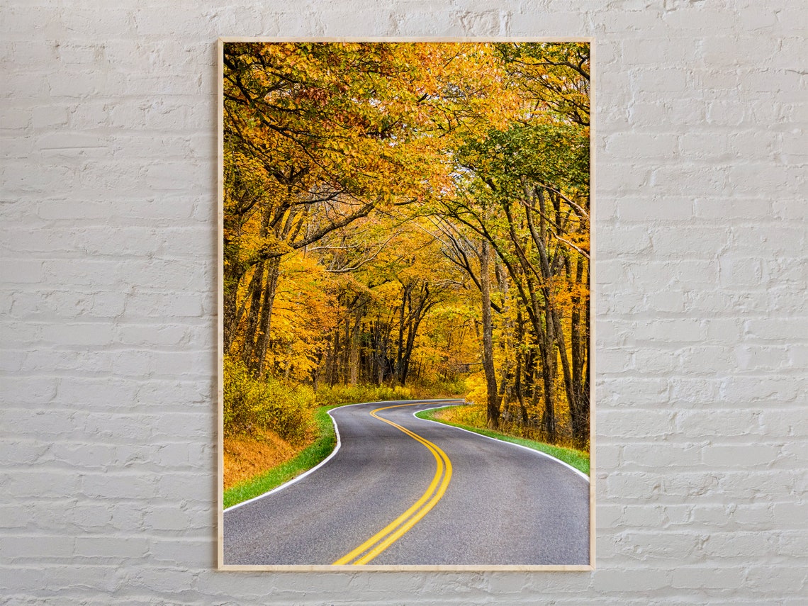 Virginia Autumn Forest Road Golden Trees Winding Drive Poster