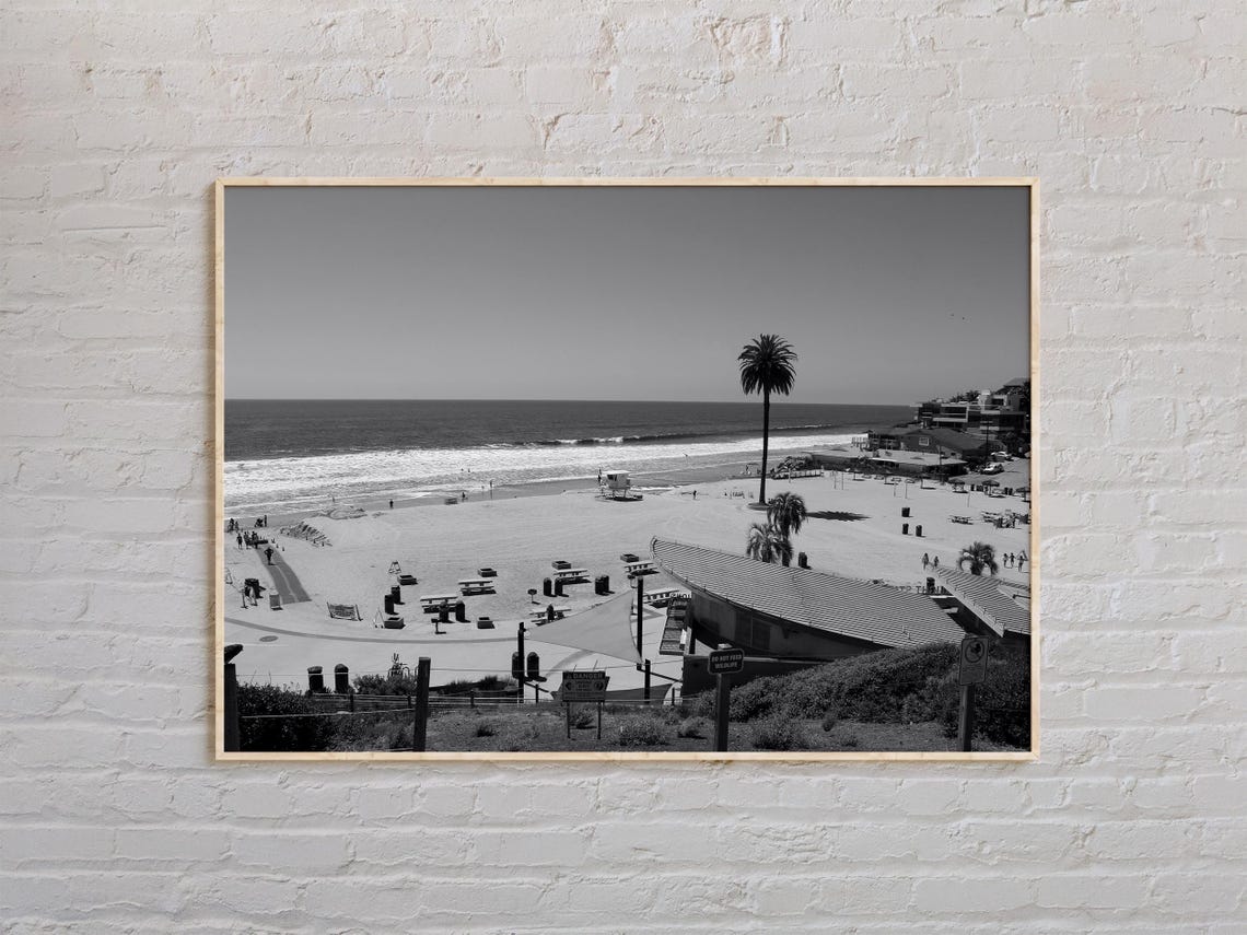 Black And White Encinitas Beach Palm Tree Lifeguard Tower Photo Poster
