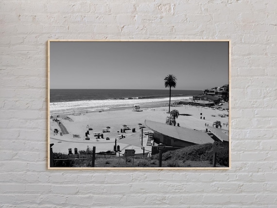 Black And White Encinitas Beach Palm Tree Lifeguard Tower Photo Poster