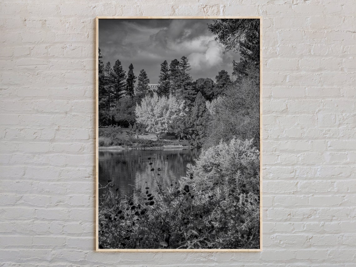 Black And White Forest Lake Landscape Serene Nature Photography Poster