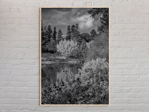 Black And White Forest Lake Landscape Serene Nature Photography Poster