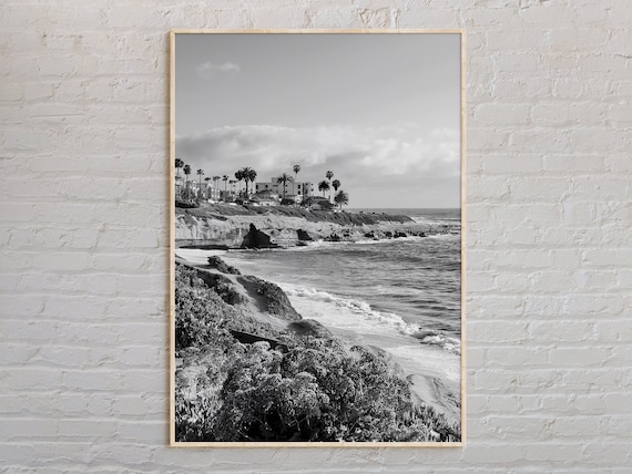 Southern California Coast Cliffs Palm Trees Black White Poster