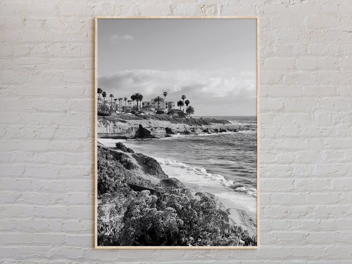 Southern California Coast Cliffs Palm Trees Black White Poster