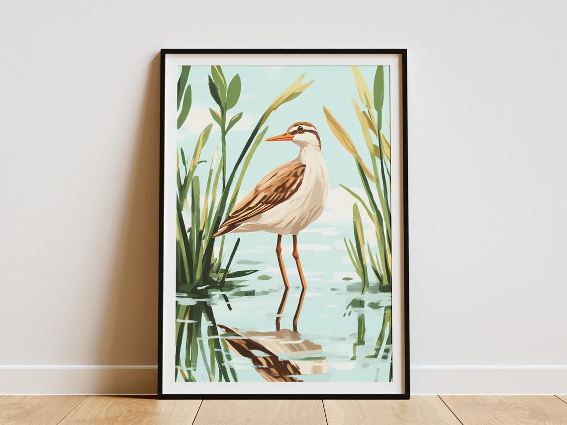 Clapper Rail Wading in Tall Marsh Reeds Wetland Bird Art Poster
