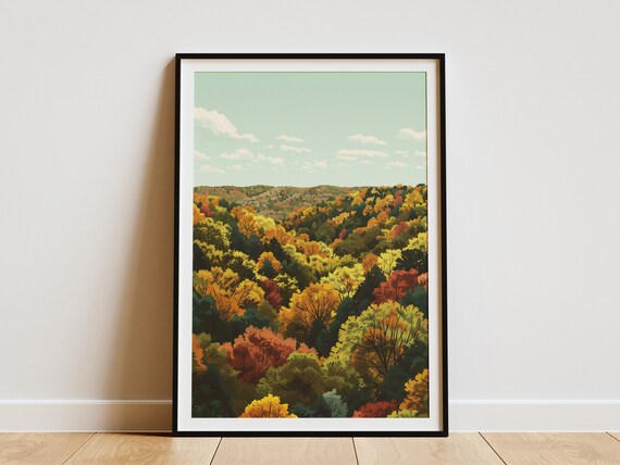 Indiana Hoosier National Forest Autumn Foliage Canopy Poster