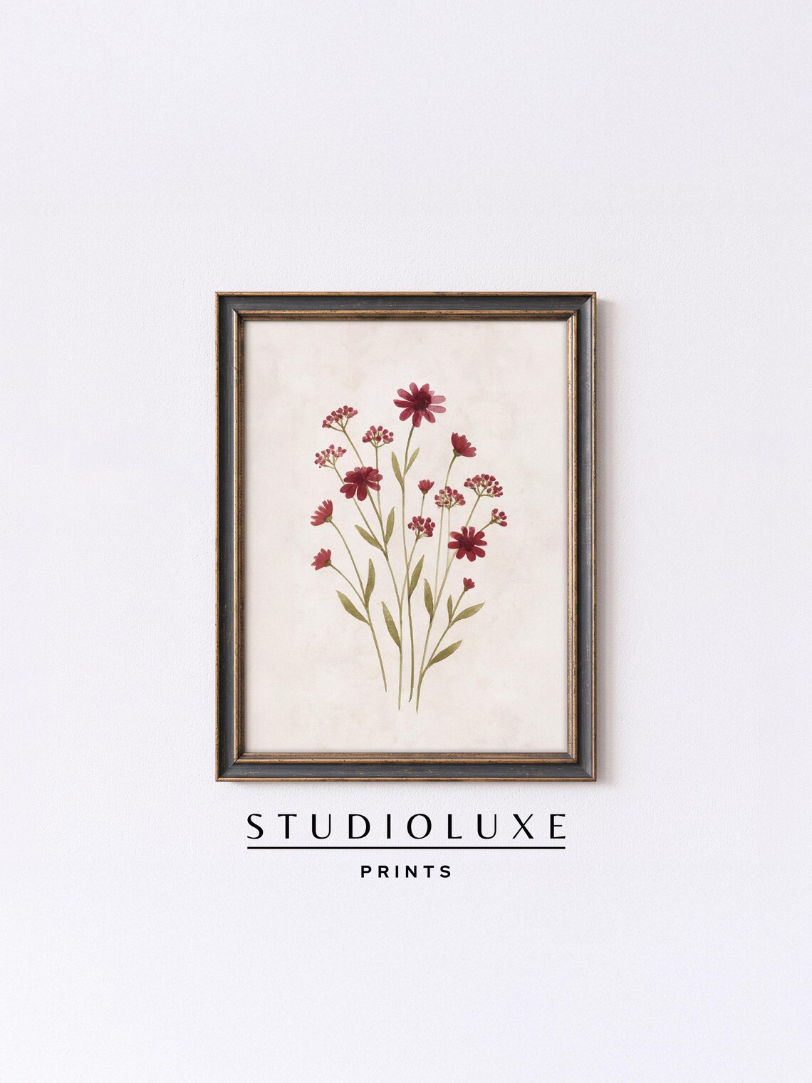 Maroon Coneflower Wildflowers Poster, Delicate Watercolor Botanical Art