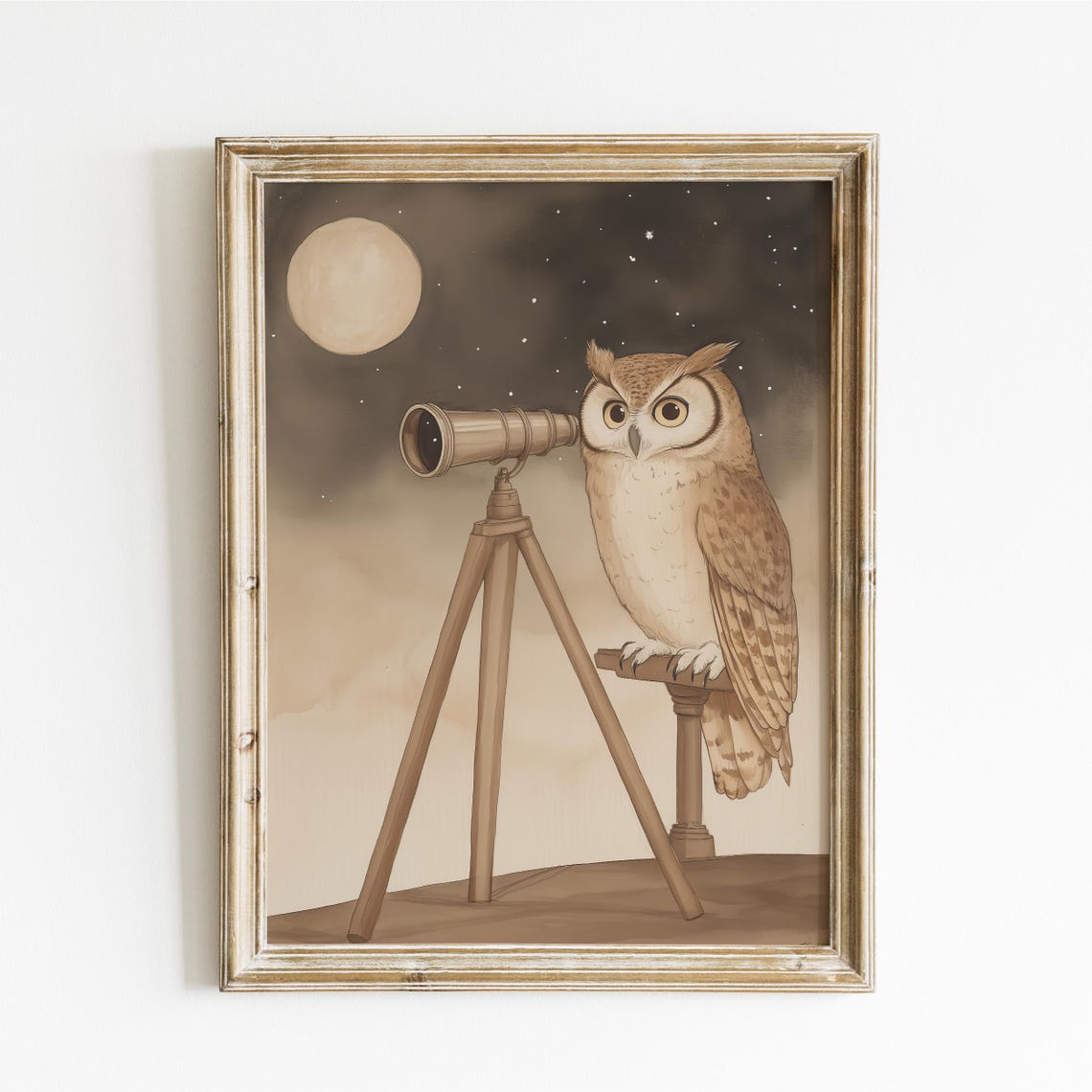 Owl Astronomer with Telescope Under Moonlit Starry Sky Poster