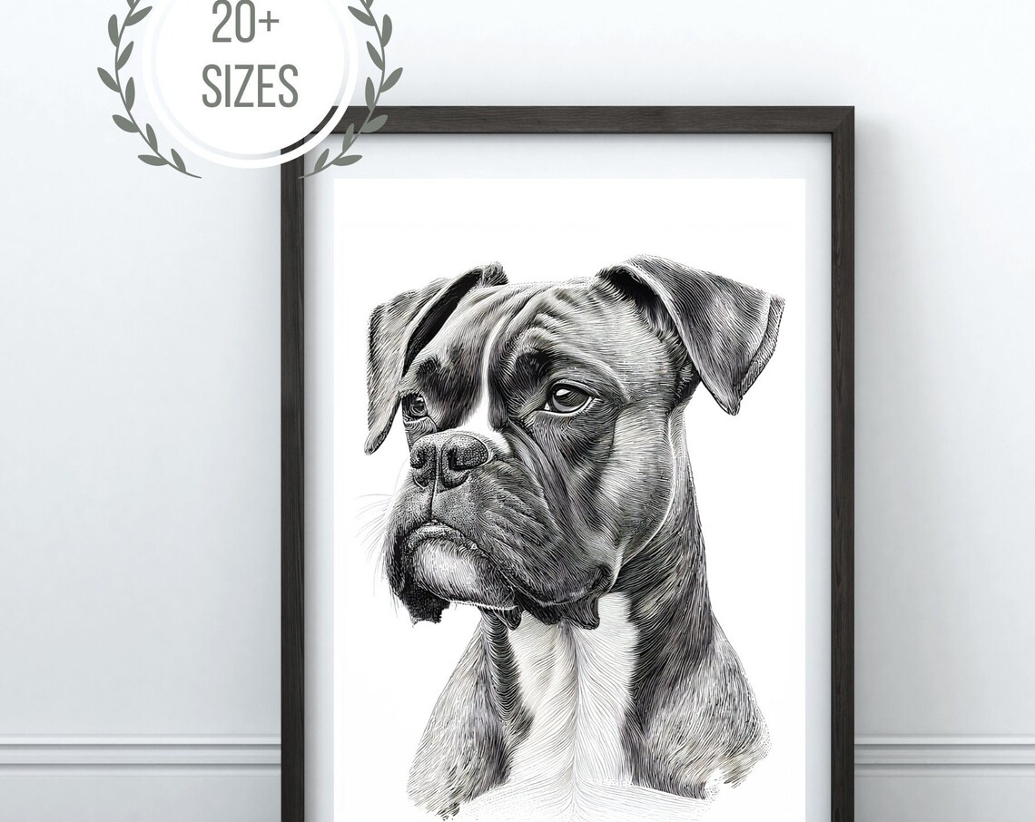 Boxer Dog Engraved Black White Portrait Fine Art Drawing Poster