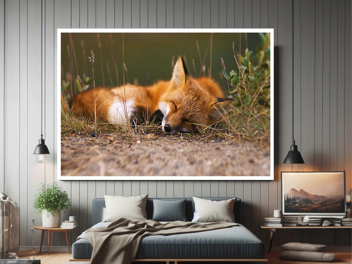 Sleeping Red Fox Cub Resting in Grass Wildlife Nature Photo Poster