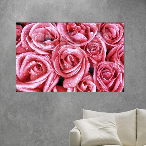 Pink Roses Morning Dew Drops Close Up Romantic Floral Art Poster
