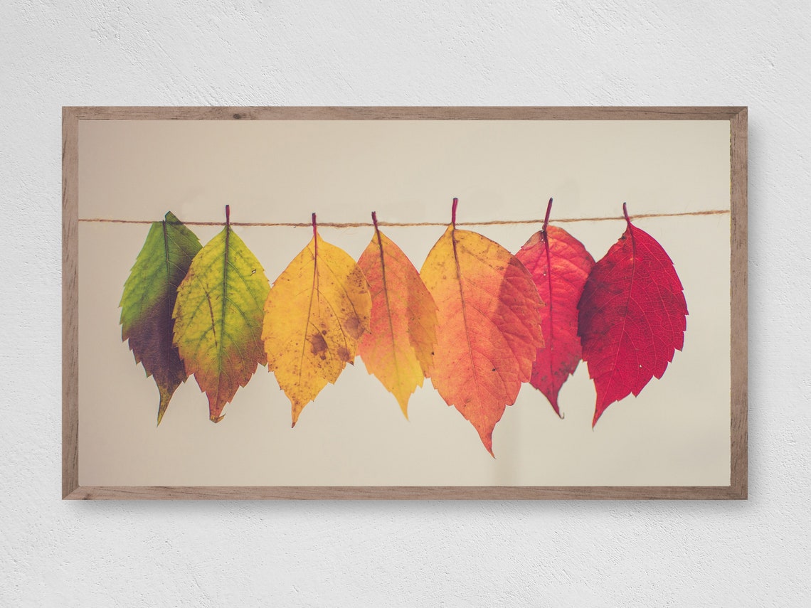 Rainbow Fall Leaves On String Autumn Minimalist Seasonal Art Print