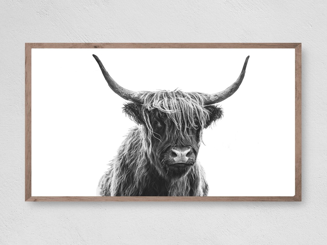 Farmhouse Highland Cow Art Print, Sexy And I Know It