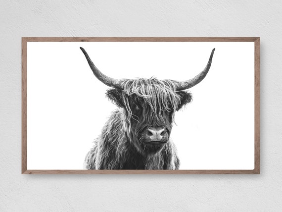 Farmhouse Highland Cow Art Print, Sexy And I Know It