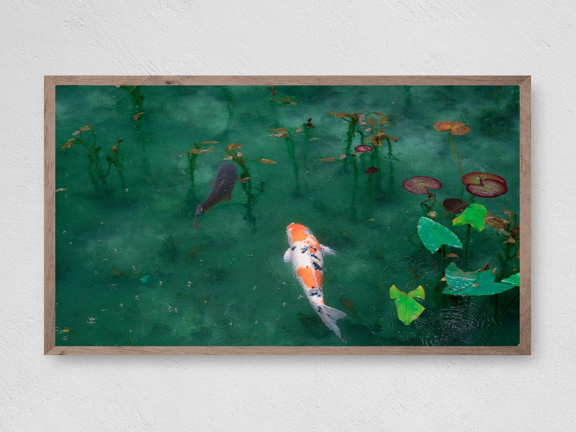 Frame Tv Art Instant Calming Koi Pond Frame Tv Art Art Tv For Frame