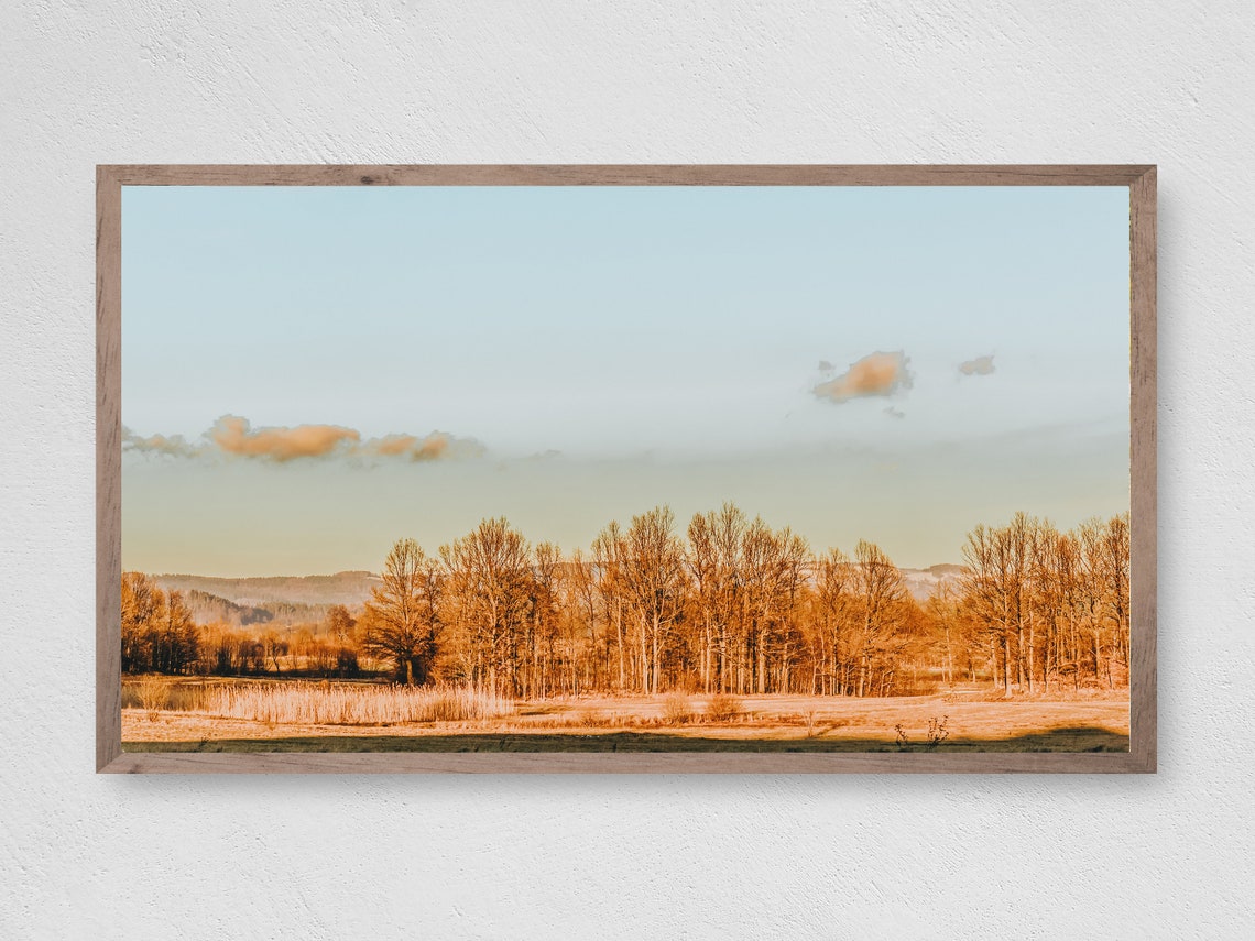 Golden Autumn Field Bare Trees Sunset Sky Rustic Meadow Poster