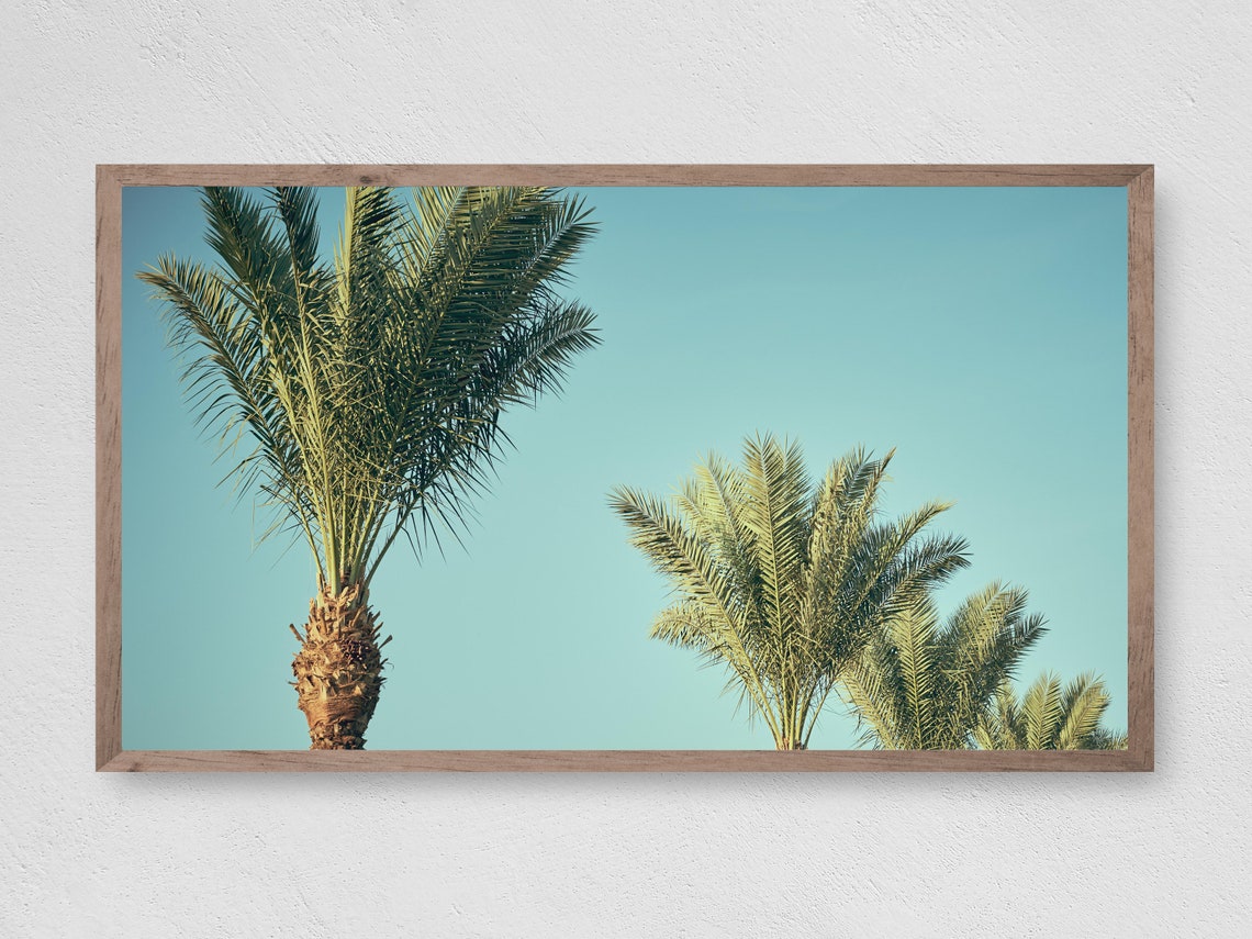 Palm Tree Tops Against Turquoise Sky Minimalist Tropical Poster
