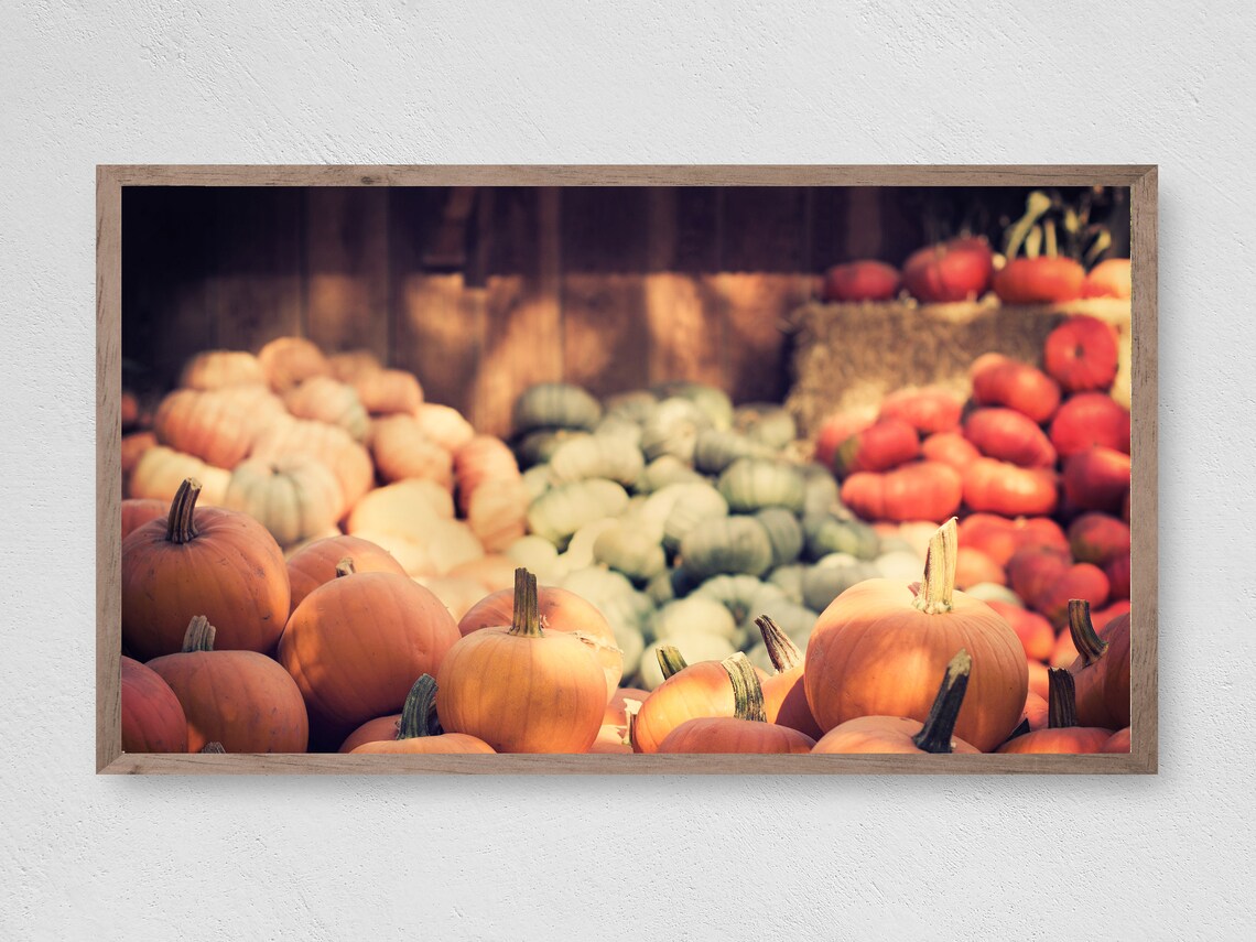 Fall Pumpkins Art Print, Halloween Decor