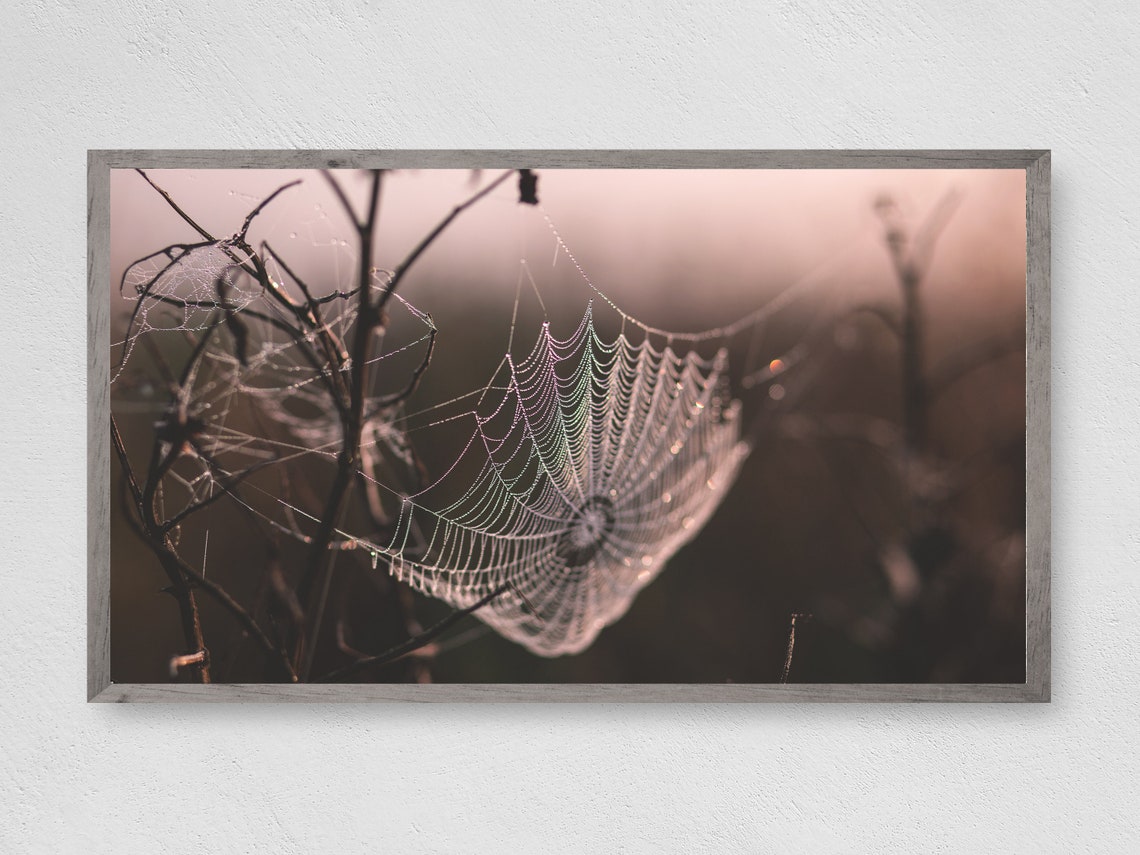 Spider Web Halloween Frame TV Art