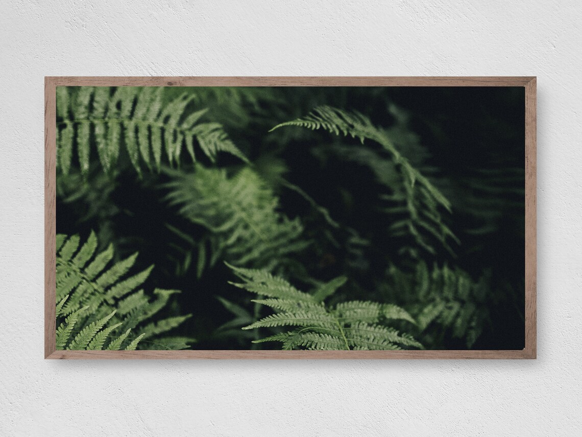 Dark Fern Art Print, Botanical Decor for TV Space
