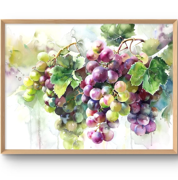 Watercolor Grape Clusters Art Print Purple and Green Vineyard Fruit Painting