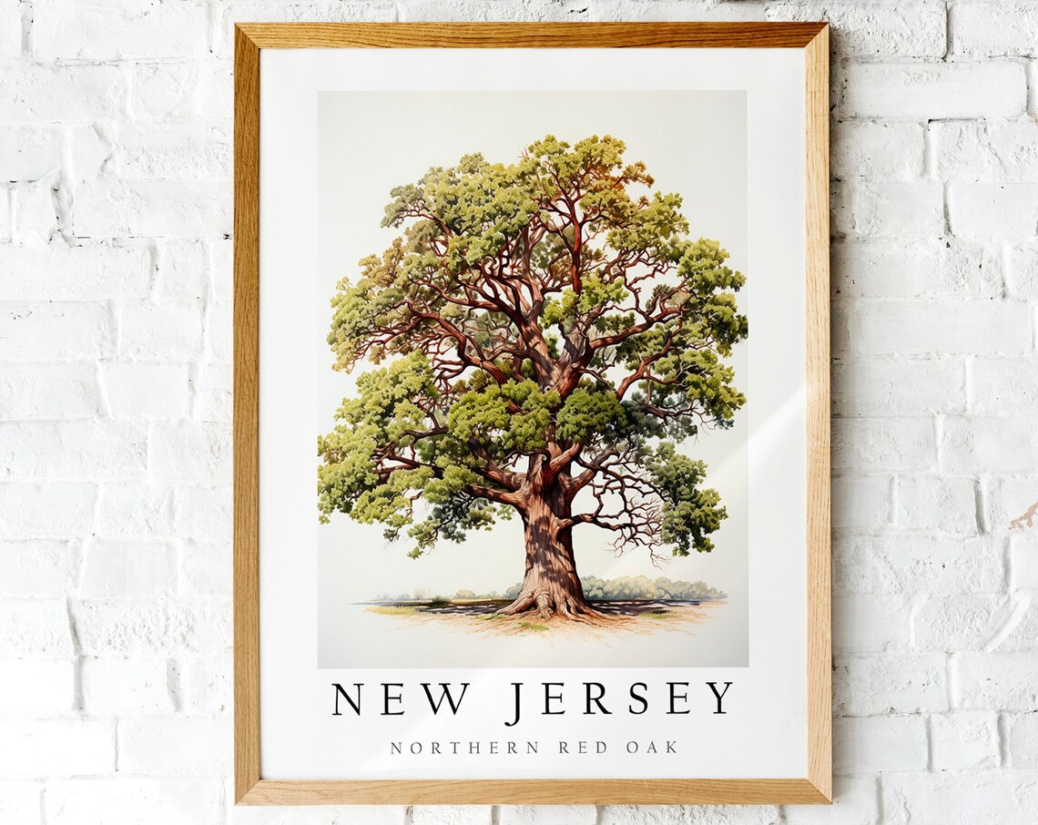 Northern Red Oak, New Jersey State Tree Art Print