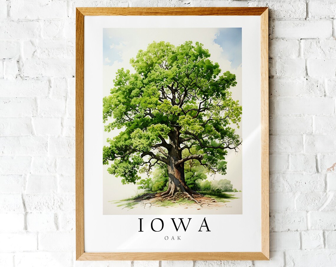 Iowa Oak State Tree Watercolor Botanical Illustration Art Poster